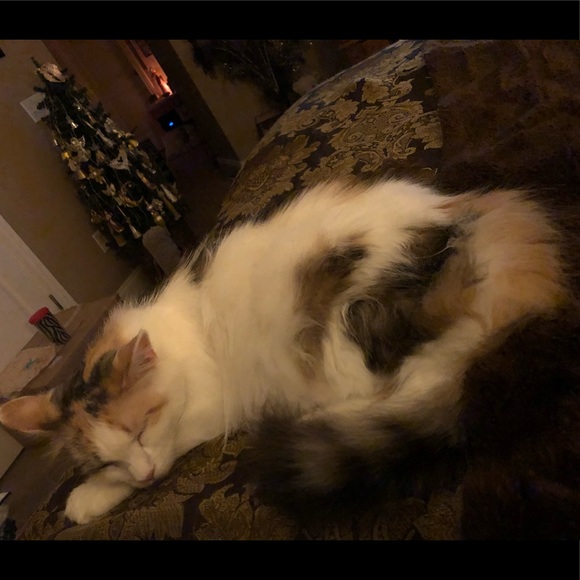 About Me - Picture 9 of 12